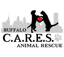 Buffalo C.A.R.E.S. Animal Rescue